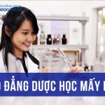 cao-dang-duoc-hoc-may-nam