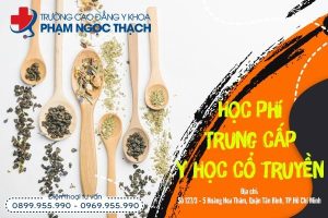 Mức học phí Y học cổ truyền tại Trường Cao đẳng Y khoa Phạm Ngọc Thạch