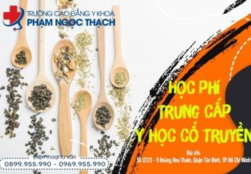 Học phí Y học Cổ truyền các hệ bao nhiêu tiền hiện nay?