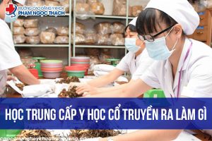 Học Trung cấp Y học cổ truyền ra làm gì?