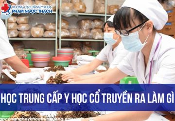 Học trung cấp Y học Cổ truyền ra làm gì? Cơ hội việc làm thế nào?