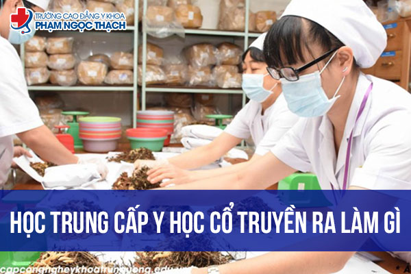 Học trung cấp Y học Cổ truyền ra làm gì? Cơ hội việc làm thế nào?